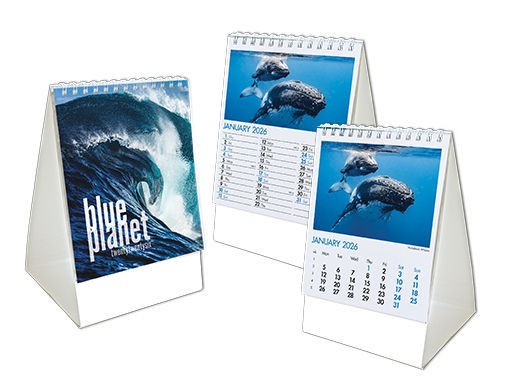 Blue Planet Mini Desk Calendar