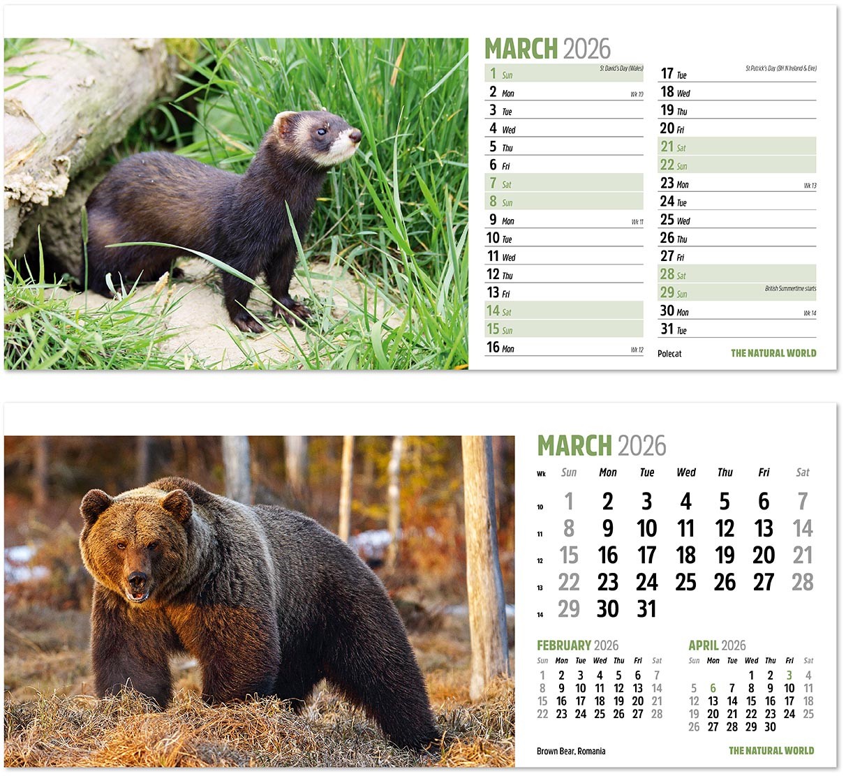 The Natural World Desk Calendar