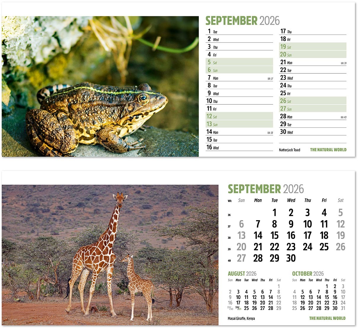 The Natural World Desk Calendar
