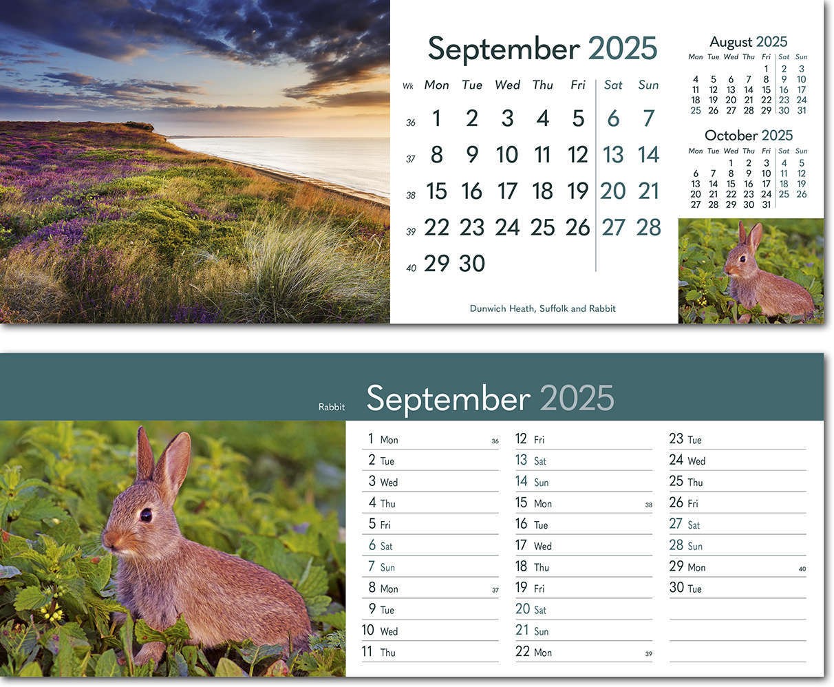 Rural Britain Premium Lined Easel Desk Calendar