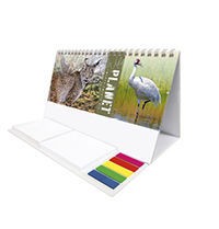 Wild Planet Note Station Desk Calendar 