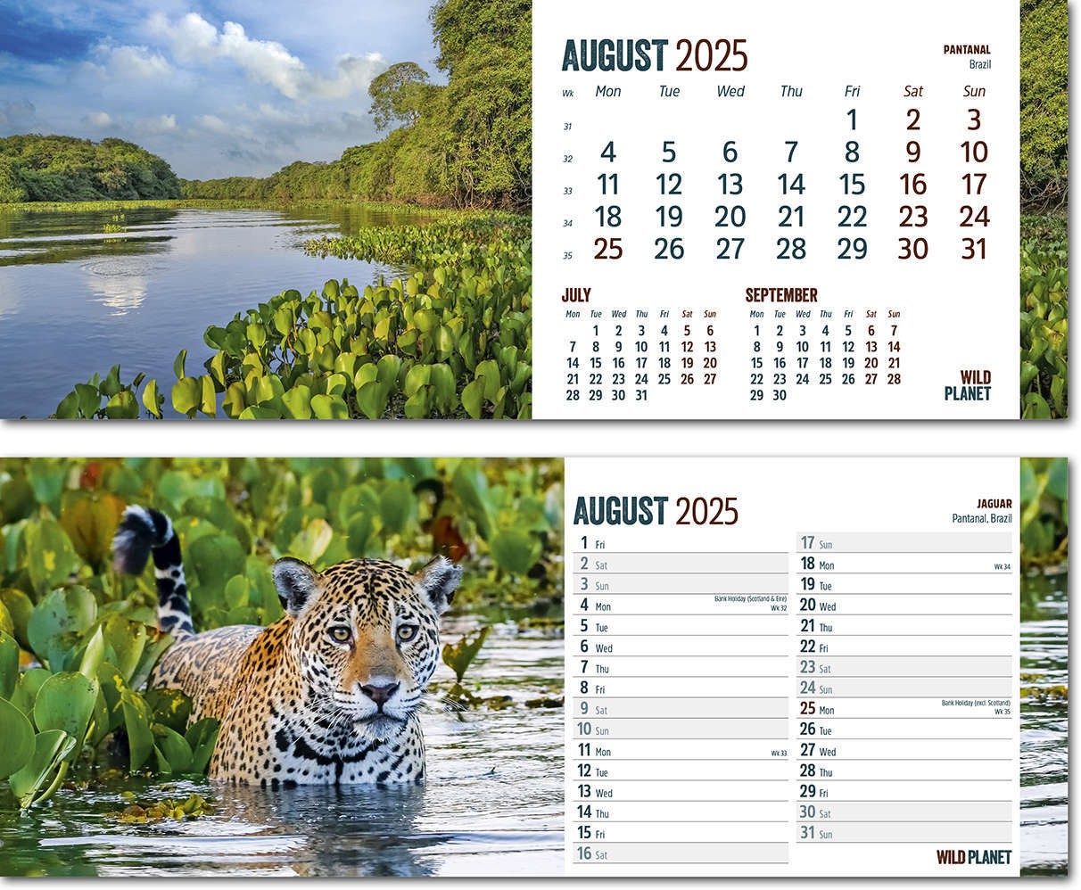 Wild Planet Task Station Desk Calendar