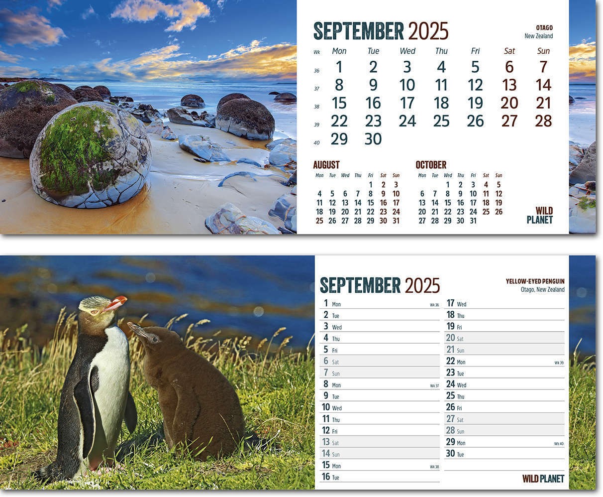 Wild Planet Task Station Desk Calendar