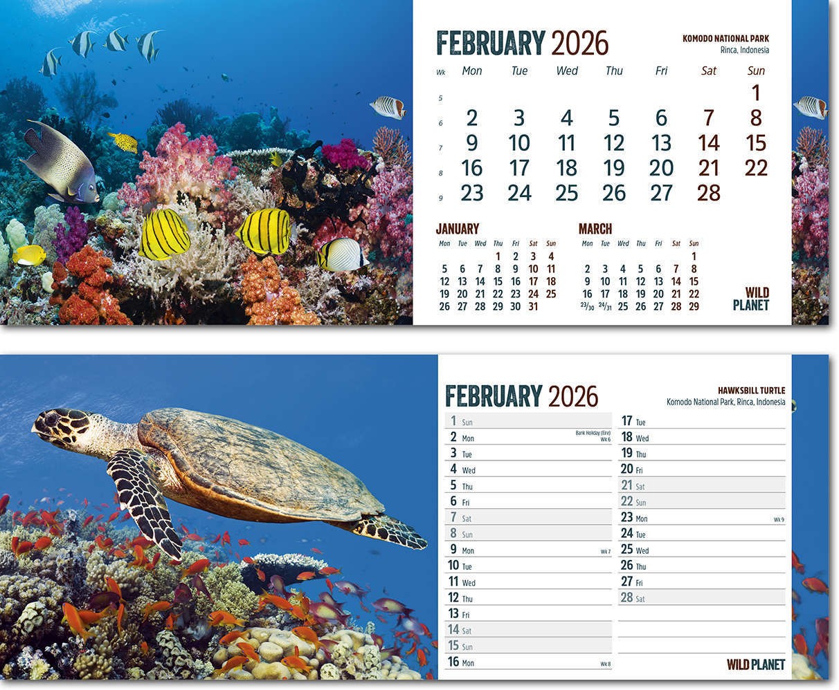 Wild Planet Desk Calendar