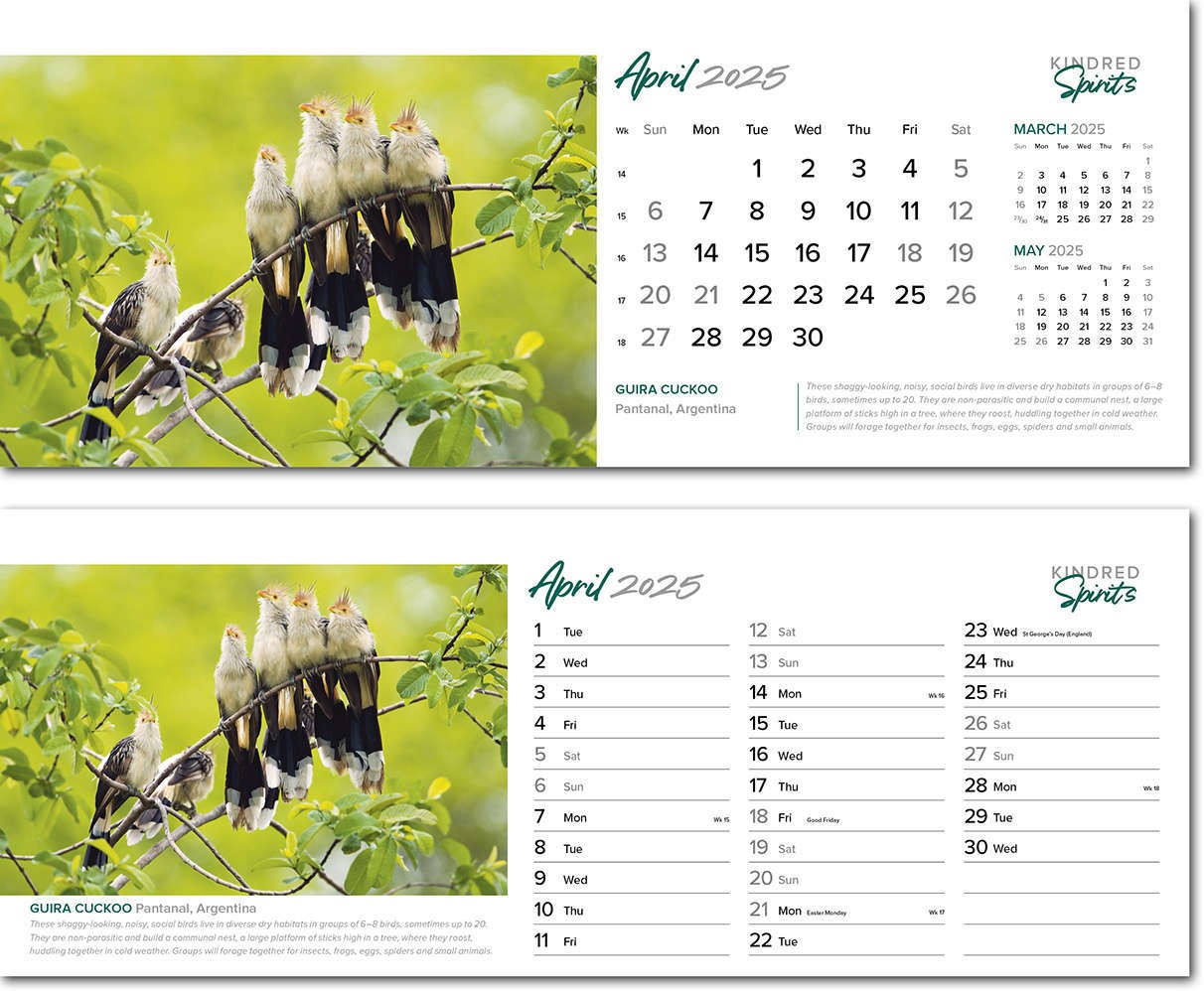 Kindred Spirits Premium Lined Easel Desk Calendar