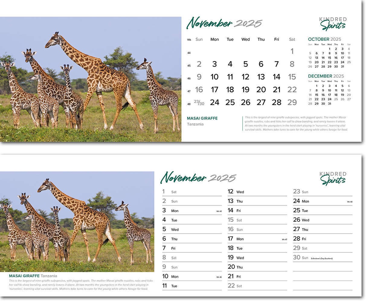 Kindred Spirits Premium Lined Easel Desk Calendar