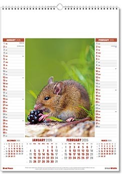 British Wildlife Calendar